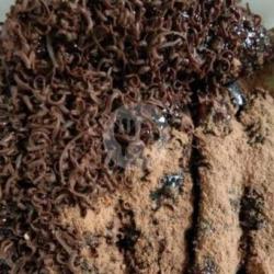 Coklat Parut Milo Tuman