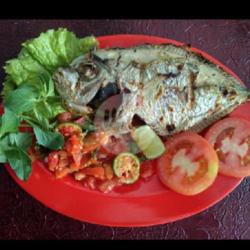 Ikan Cepa/lamuru Sedang