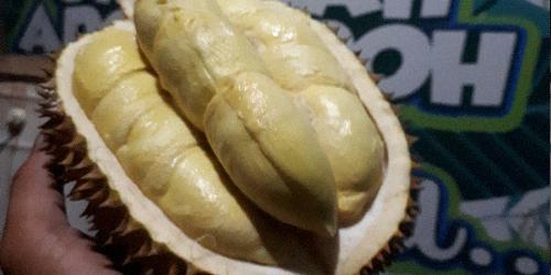 Durian Mantul Tegal, Pagedangan