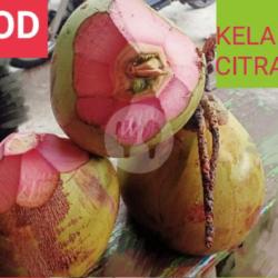 Kelapa Hijau Super