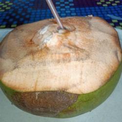 Kelapa Hijau