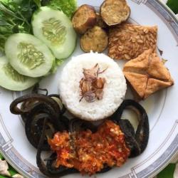 Sambal Belut