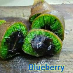 Martabak Blueberry Susu Kecil