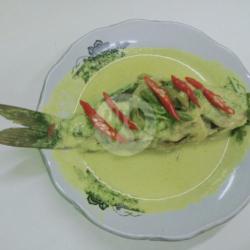 Ikan Mas Gule