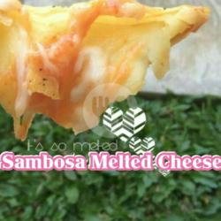 Sambosa Mozarella Melted Cheese Isi 2