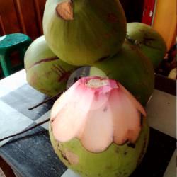 Kelapa Ijo Asli  Sedang