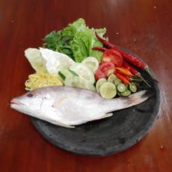 Ikan Segar Kakap Merah Goreng