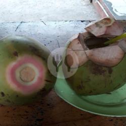 Kelapa Ijo Obat Kecil