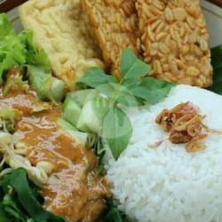 Nasi Pecel Peyek Teri/rebon