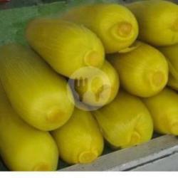 Jagung Rebus Ori