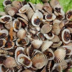 Kerang Goreng