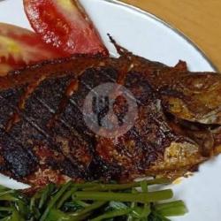 Ikan Baronang Bakar Teh Rekha