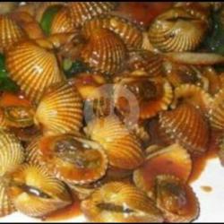 Kerang Dara