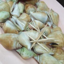 Gong Gong Rebus