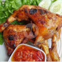 Ayam Petir