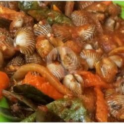 Kerang Tumis Saos Pedas  Nasi