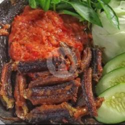 Paket Nasi Penyetan Belut Sambel Terasi