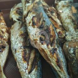 2 Ekor Sedang Ikan Malalugis Goreng