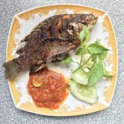 Ikan Mujair Bakar