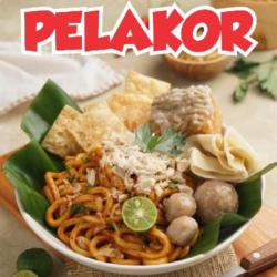 Mie Pelakor Biasa