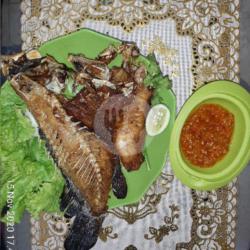 Ikan Sunu Goreng Kering Super