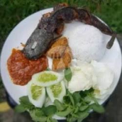 Pecel Lele   Tempe   Nasi Uduk