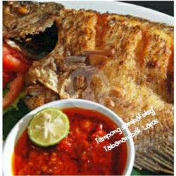 Ikan (250gr) Goreng Murah Enak