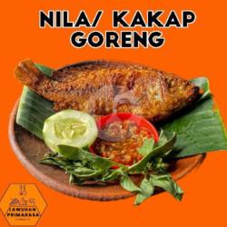 Kakap /nila Goreng