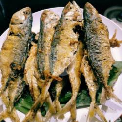 Ikan Kembung Goreng Super Gede