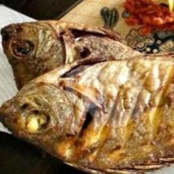 Ikan Goreng Baronang Sambel Cemangi