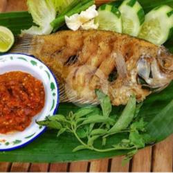 Penyetan Nasi Gurami Goreng