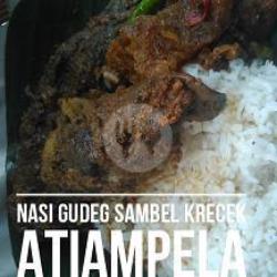 Nasi Gudeg Ati