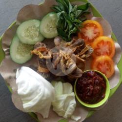 Ampela Ati Bebek