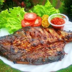 Ikan Patin Bakar   Nasi