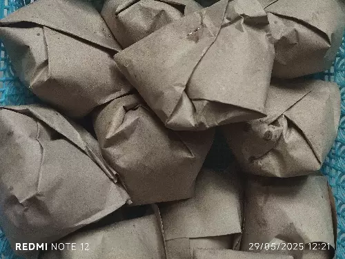 outlet