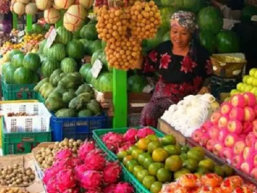 Buah 3 Putra - Mangli, Kaliwates