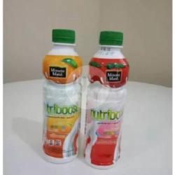 Nutri Boost Strawberry Flavour (300ml)