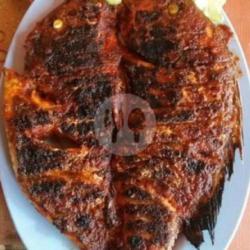 Ikan Kakap Merah Jumbo Bakar