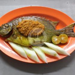 Ikan Lebam Bakar ( Per Ekor)