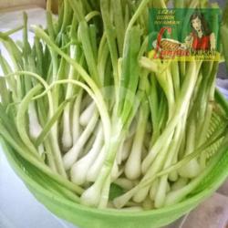 Extra 10 Daun Bawang