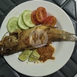 Ikan Sunu / Gerapu Goreng