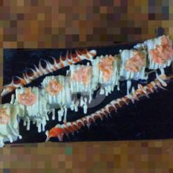 Sushi Dragon Roll