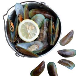 Kerang Hijau Rebus (1 Kg)