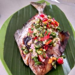 Ikan Bawal Bakar