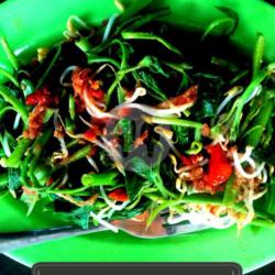 Plecing Kangkung