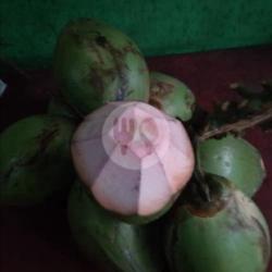 Kelapa Ijo Asli Obat