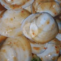 Kerang Madu Putih