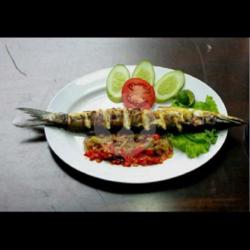 Ikan Baracuda Bruto 300gram