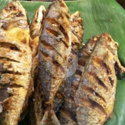 Ikan Kembung Layang