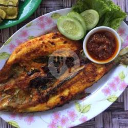 Ikan Bolu Bakar